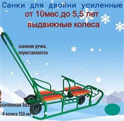 sanki-kolyaski-dlya-dvoini (3) sanki-kolyaski-dlya-dvoini (3)