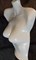 Манекен форма бюст удлиненный (2)
